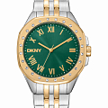 Часы DKNY Brooklyn Maxi DK1L011M0075